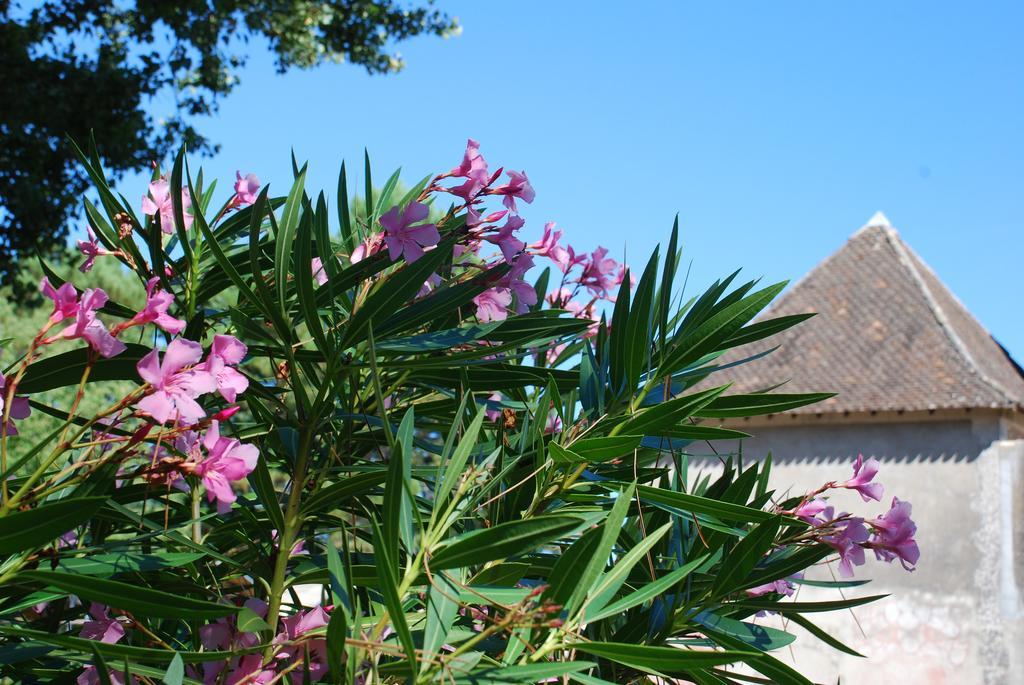 Apartamento Château Neuf Le Désert Le Pizou Exterior foto